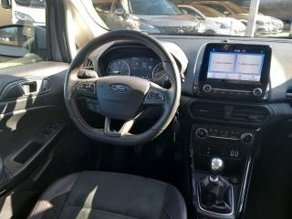 FORD EcoSport usata, con Volante multifunzione