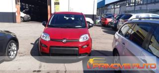 FIAT Panda usata, con Airbag Passeggero