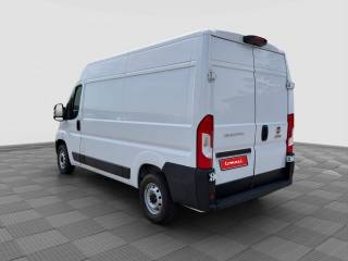 FIAT Ducato usata 2
