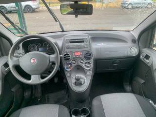 FIAT Panda usata, con Fendinebbia