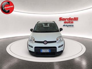 FIAT Panda usata, con Antifurto