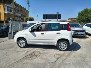 FIAT Panda usata, con Alzacristalli elettrici