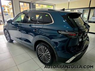 VOLKSWAGEN Tiguan usata, con Antifurto