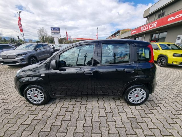 FIAT Panda usata, con Airbag Passeggero