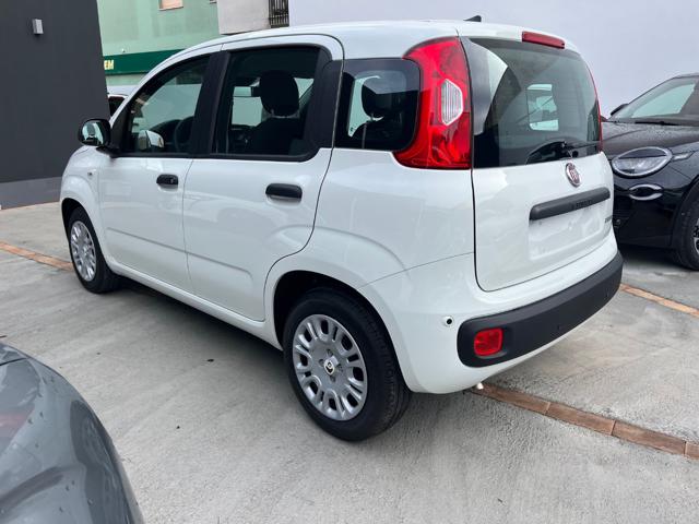 FIAT Panda usata, con Alzacristalli elettrici