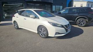 NISSAN Leaf usata, con Airbag
