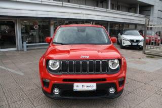 JEEP Renegade usata, con Fendinebbia