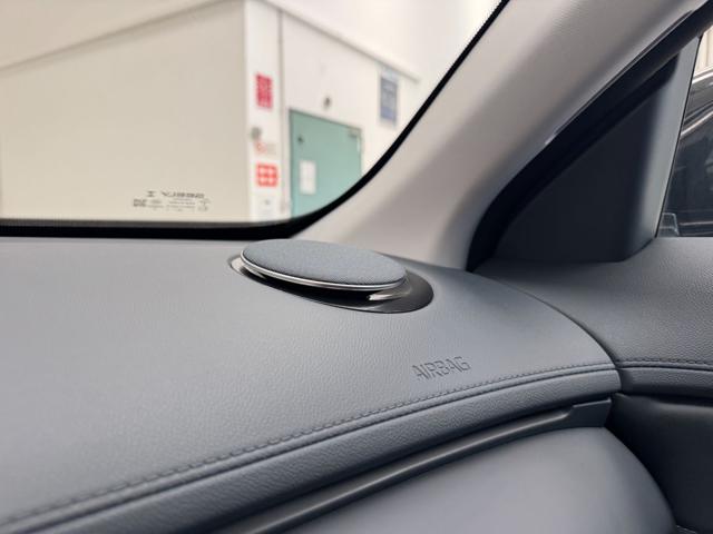 GEELY Starray EM-i usata, con Climatizzatore