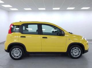 FIAT Panda usata, con Chiusura centralizzata