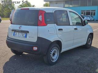 FIAT Panda usata, con Servosterzo