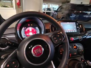 FIAT 500 usata 24