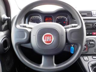 FIAT Panda usata 25