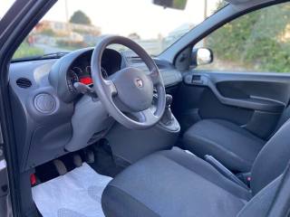 FIAT Panda usata, con Fendinebbia