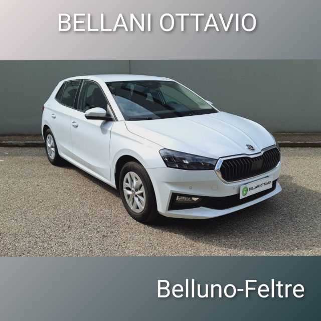 SKODA Fabia usata, con ABS