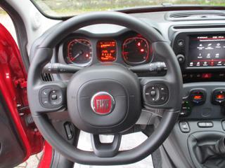 FIAT Panda Cross usata, con Servosterzo