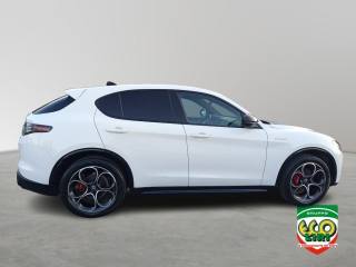 ALFA ROMEO Stelvio usata, con Climatizzatore