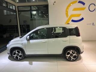 FIAT Panda usata, con Antifurto
