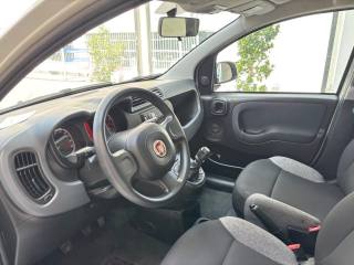 FIAT Panda usata, con Cronologia tagliandi