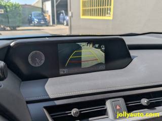 LEXUS UX 250h usata, con USB