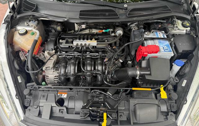 FORD Fiesta usata 19