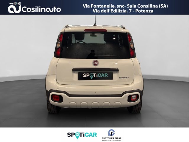 FIAT Panda Cross usata, con Alzacristalli elettrici