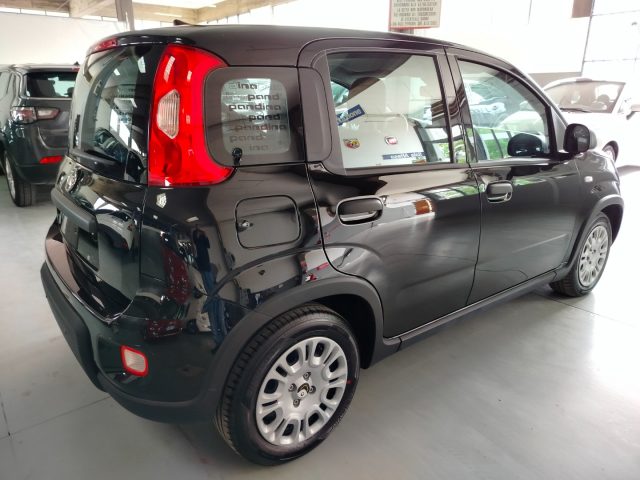 FIAT Panda usata, con ESP