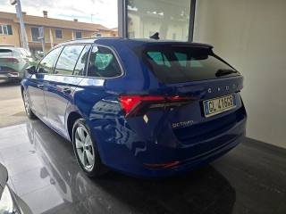 SKODA Octavia usata 162