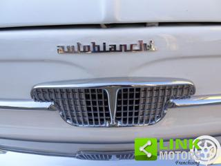 AUTOBIANCHI Bianchina usata 17