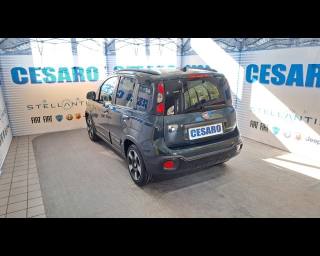 FIAT Pandina Cross usata, con Alzacristalli elettrici
