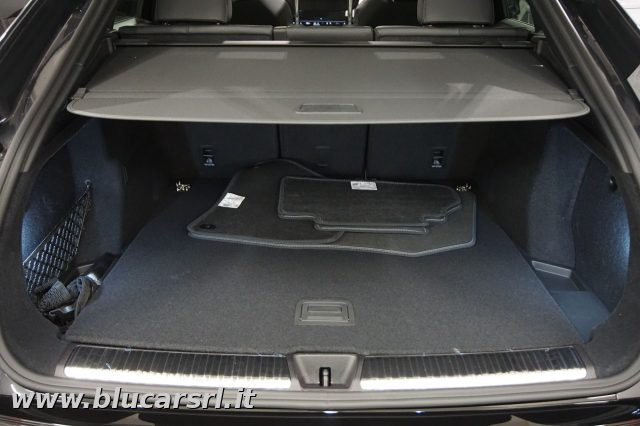 AUDI Q5 usata, con Fendinebbia