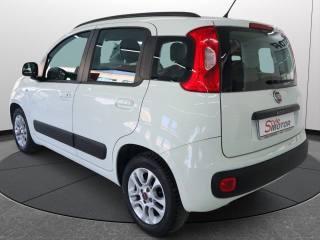 FIAT Panda usata, con Hill holder