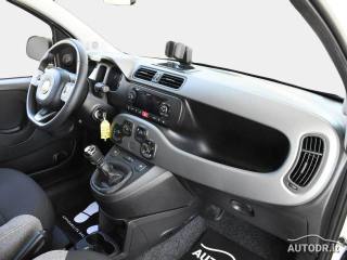 FIAT Panda usata 24