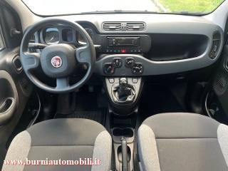 FIAT Panda usata, con Monitoraggio pressione pneumatici