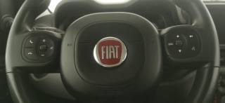 FIAT Panda usata 34
