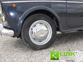 FIAT 1100 usata 25