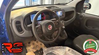 FIAT Panda usata, con Cruise Control