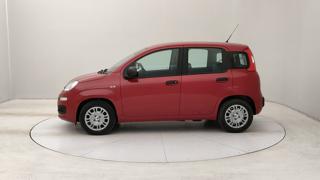 FIAT Panda usata, con Airbag