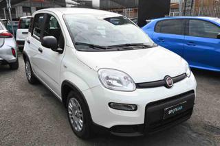 FIAT Panda usata, con Airbag