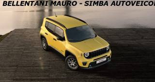 JEEP Renegade usata, con Cerchi in lega