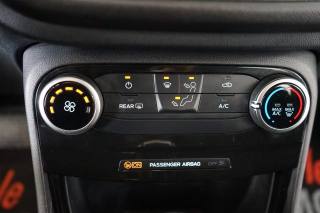 FORD Puma usata, con Fendinebbia