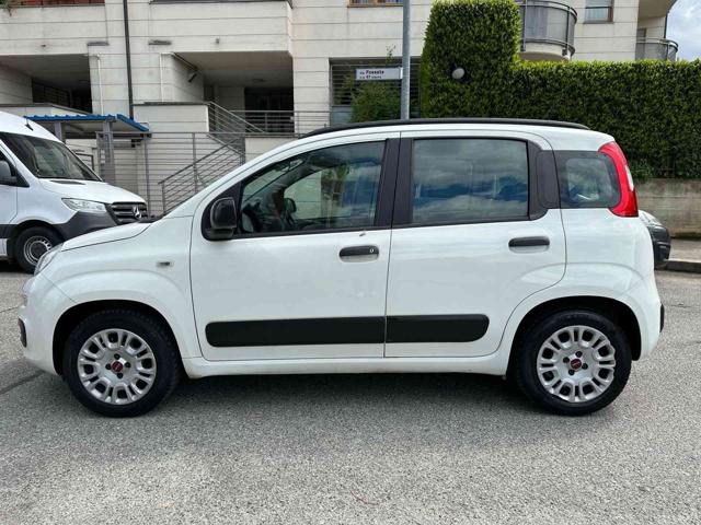 FIAT Panda usata, con Fendinebbia