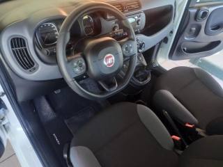 FIAT Panda usata, con Autoradio digitale