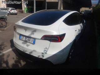 TESLA Model Y usata 3