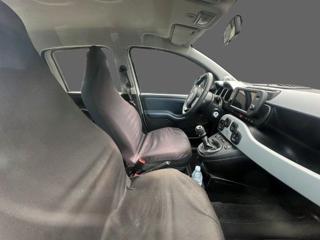 FIAT Panda Cross usata, con Alzacristalli elettrici