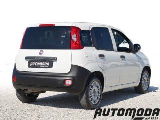 FIAT Panda usata, con Airbag Passeggero