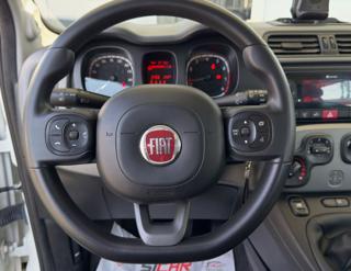 FIAT Panda usata, con Controllo trazione