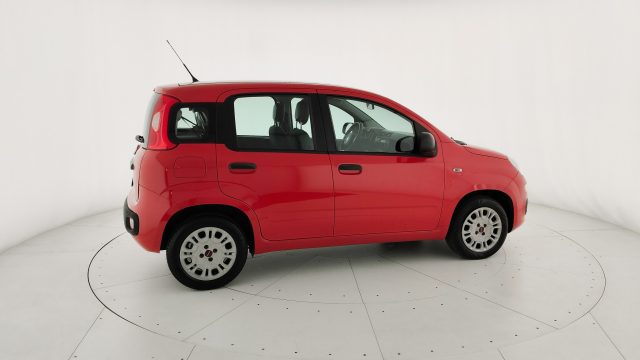 FIAT Panda usata 19