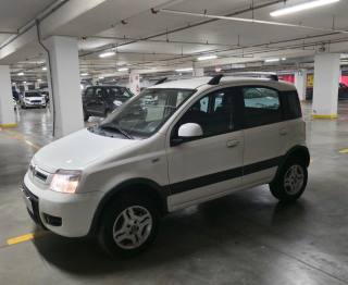 FIAT Panda usata, con Airbag testa