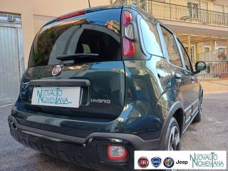 FIAT Panda usata, con Cruise Control