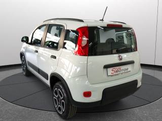 FIAT Panda usata, con Bluetooth